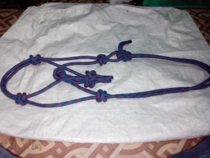 ชุดสายจูงม้าพร้อมเชือกยาว 2 เมตร ชุดสายจูงฝึกม้าที่ทนทาน - Product Image 6