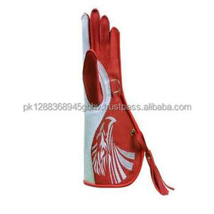 Guantes de cetrería de cuero de piel de vaca genuina de doble capa para hombres Bird Handling Pet - Product Image 1