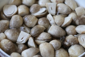 SETA DE PAJA PICADA/SETA DE SAL DE ALTA CALIDAD - Product Image 5