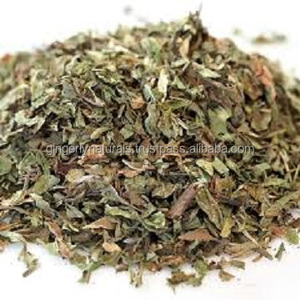 Fabricante de té de menta de la India - Product Image 1