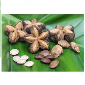 PRIX BON MARCHÉ MEILLEURE QUALITÉ SACHA INCHI CULTIVÉ AU VIETNAM - Product Image 1