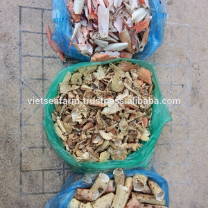 POLVO DE CÁSCARA DE CANGREJO 100% SECO, ESTÁNDAR DE EXPORTACIÓN ALTO, BUEN PRECIO, BUENA CALIDAD, DE VIETNAM 2024 - Product Image 2