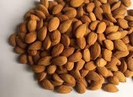 Amandes d'abricot amères de qualité supérieure, grade 1, disponibles à bas prix. Demi-abricots en conserve, fruits en conserve dans un sirop léger. - Product Image 2