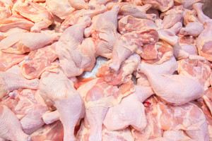 Pollo entero congelado Halal / precio del pollo entero congelado / Patas / Pies / Muslos - Product Image 6