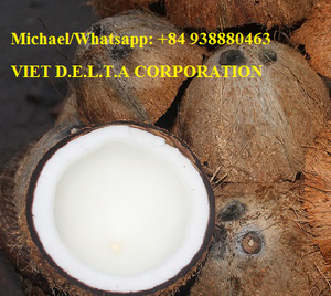 มะพร้าวอบแห้งรับรองมาตรฐาน HACCP ราคาดีที่สุด จาก VIET DELTA อุตสาหกรรมเวียดนาม อายุการเก็บรักษา 24 เดือน สำหรับผู้นำเข้า - Product Image 3