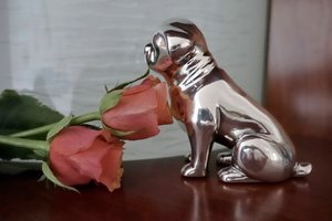 Brass Nickel Plated <b>Dog</b> Figurine Pet Cremation <b>Urn</b> by Brassworld India - Product Image 6