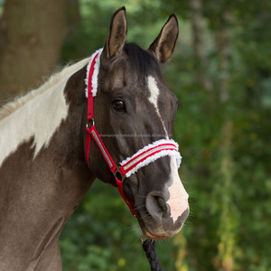 Caballo espíritu de Navidad Santa Reno vestido elegante Caballo y jinete traje - Product Image 2