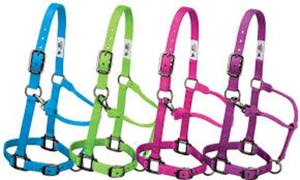 Cabestro para Caballo de Tela de Nailon Modelo AIHN-55 Multicolor - Product Image 4