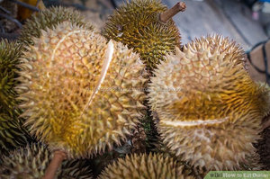 Durian de Vietnam de la mejor calidad y precio - Product Image 6