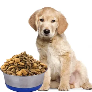 2023 DIOS Bol pour animaux de compagnie en acier inoxydable personnalisé écologique Mangeoire pour animaux de compagnie à la mode et durable - Product Image 1