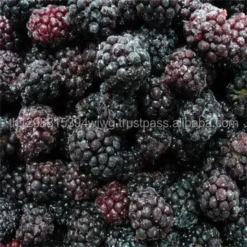 Iqf blackberries selvagem e frutas congeladas