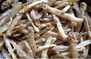 Secos Sipunculus nudus/Mar seco gusano origen Vietnam - Product Image 5