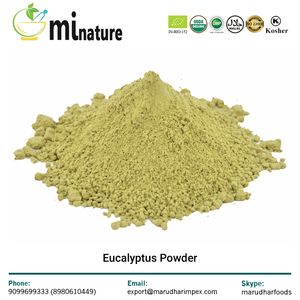Polvo de Hoja de Eucalipto de Alta Calidad - Product Image 2