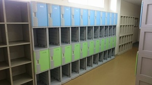 Cheap ABS Plastic Swimming Pool Locker Cabinet - Product Image 5