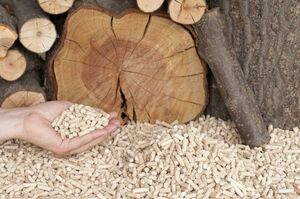 Pellets de Combustible de Madera Mixta de Abedul de Alta Calidad en Forma de Barra - Product Image 5