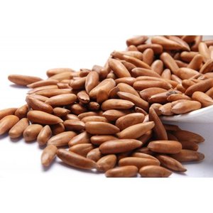ถั่วไพน์คุณภาพดีที่สุดในปากีสถาน - Product Image 1