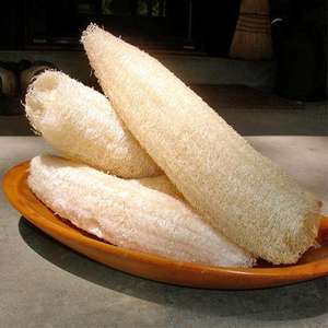 Wholesale Bulk Natural Loofah Sponges - Organic Luffa Bath Shower Ready to Ship From Vietnam - Product Image 3