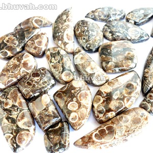 Pierre de Cabochon de pierres précieuses en vrac semi-précieuse Turritella pour la fabrication de bijoux pendentif bague Bracelet collier - Product Image 1