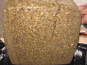 Ngô khô ủ chua-ngô khô ủ chua Việt Nam-gia súc cho ăn Ngô Ủ Chua - Product Image 4