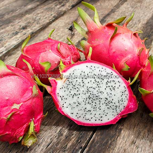 Gbs-dragon fruit Viet, collection 2018 totale, court/Ms, vacances - Product Image 2