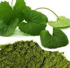 PENNYWORT-polvo SAFE Sophie - Product Image 6