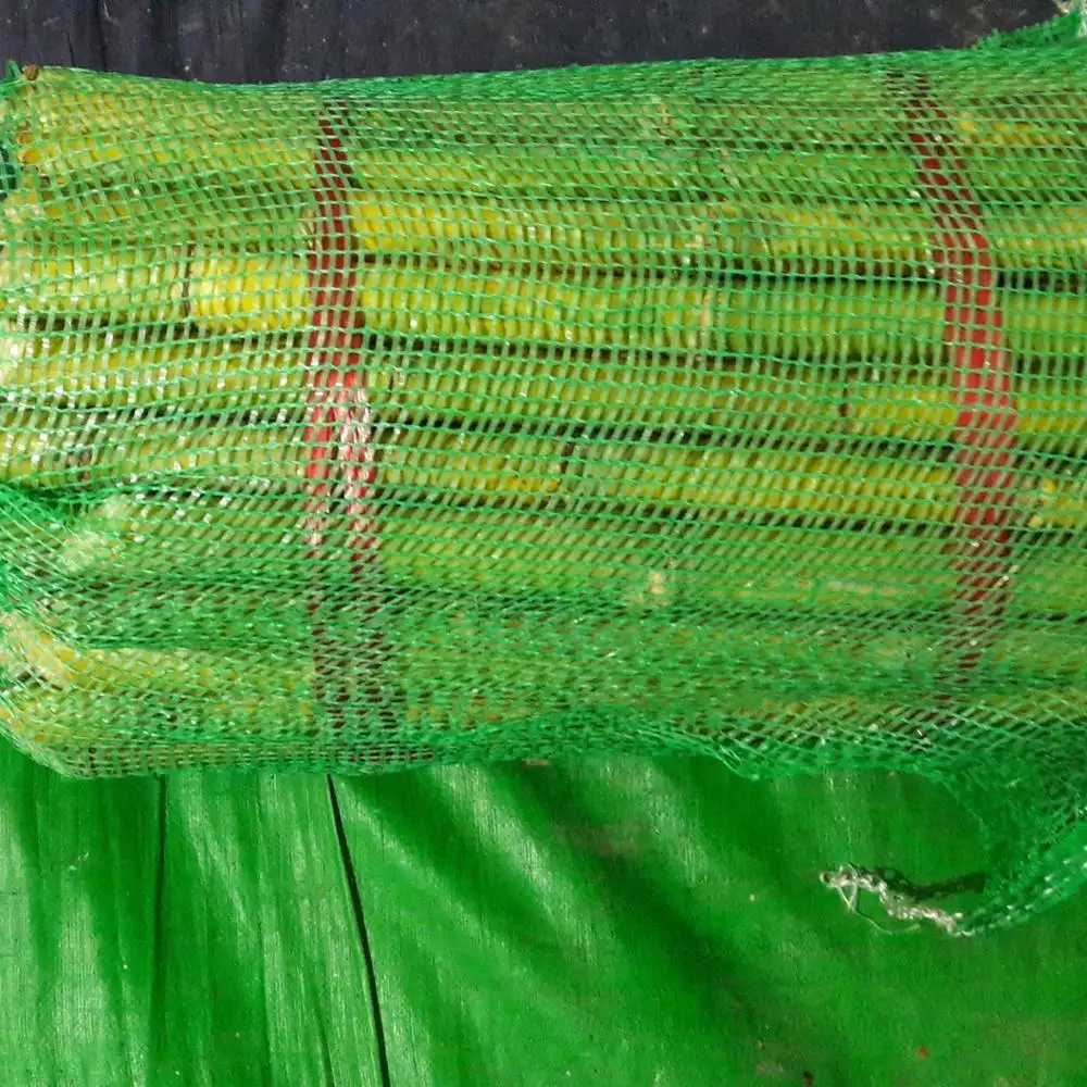 Viet nam frozen sugar cane