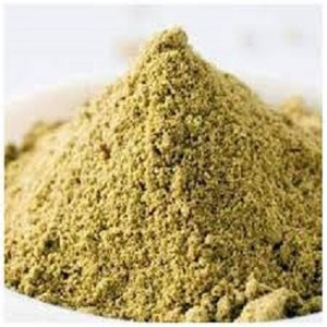 Vente en gros de poudre de graine de moringa, origine indienne - Product Image 3
