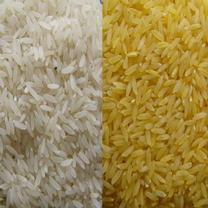 Riz Basmati doré grain extra long 1121 Inde 8-3mm Longueur de grain 12% Humidité 2% Couleur jaune cassé pour Biryani Direct - Product Image 3