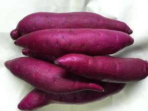 ราคาตลาดมันเทศสดสำหรับผู้ซื้อนางสาววันหยุด - Product Image 2