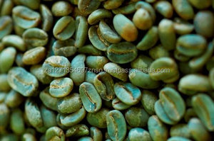 Granos de Café Arábica Verdes y Tostados de Alta Calidad para Exportación a Precio Competitivo - Product Image 2