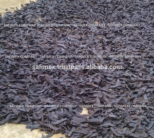 Gleditsia triacanthos Boket Vietnam févier - Product Image 3