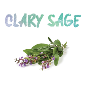 Aceite Esencial de Salvia Clary 100% Puro, Extracto Orgánico de Flor y Hoja, Destilado al Vapor, Hidratante, Aclarante para la Piel, Certificado GMP - Product Image 5