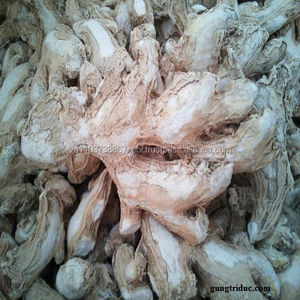 <b>Fresh</b> <b>Ginger</b> Wholesale High Quality Ready to Ship Standard Export Harvest From Farm in Vietnam - Product Image 3