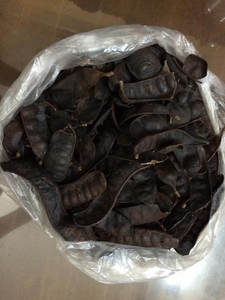 Gleditsiae/frutus Gleditschiae séché au VietNam pour cheveux de bonne qualité - Product Image 3