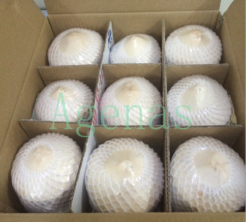 Свежий молодой кокос Вьетнам