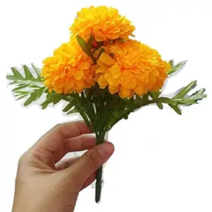 Marigold hidroflorates 100% natural puro em massa | hidrogênio floral natural para cuidados com a pele