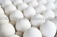 दक्षिण अफ्रीका से ताजा ब्राउन और सफेद खोल चिकन अंडे