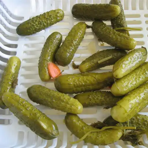 DELICIOUS PICKLED CUCUMBER / PICKLED GHERKIN FOR SALE ON THE WORLD holiday