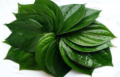 elant viet nam technology company limited