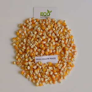 เมล็ดข้าวโพด/ข้าวโพดสีเหลืองเกรดดีสำหรับการบริโภคของมนุษย์และปศุสัตว์ - Product Image 2