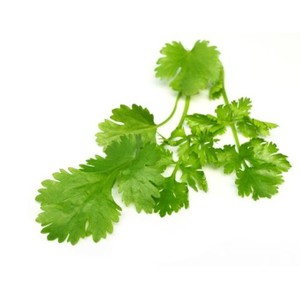 Aceite esencial de cilantro puro 100%, aceite de semilla de Coriandrum Sativum para el cuidado de la piel, masaje, saborizante de alimentos, cáscara de La India, grado crudo de exportación - Product Image 6