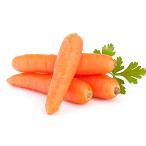 CAROTTE FRAICHE DE QUALITE EXPORT A BON PRIX - Product Image 1