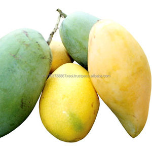 มะม่วงสดจากเวียดนาม - Product Image 2