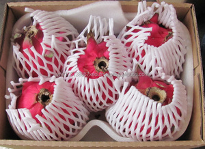 Gbs-dragon fruit Viet, collection 2018 totale, court/Ms, vacances - Product Image 6