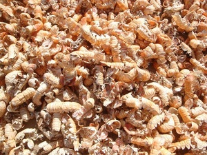 เปลือกปู/กุ้งแห้ง คุณภาพสูง จากเวียดนาม (คุณฟีบี, 84 1644010866) - Product Image 4