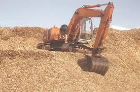 Utilisation du rasage du bois pour la literie des chevaux/100% bois naturel pin blanc rasage 2020 - Product Image 5