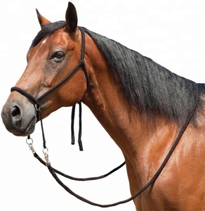Brida para Caballo, Marca OEM/ODM, Modelo AIHRB-03 - Product Image 1