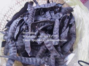 Gleditsiae seco de Vietnam de alta calidad/Fructus Gleditschiae para cabello 2021 - Product Image 3