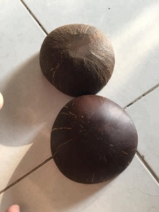 Handmade Eco-Friendly Coconut <b>Bowls</b> Vietnam's Natural Crafts Polished Shell Decorations for Home - Product Image 5