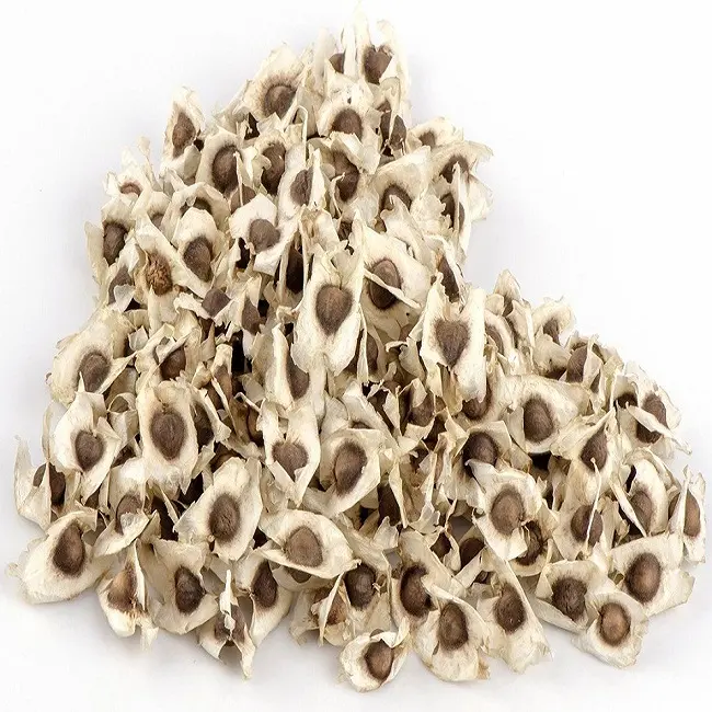 High Quality & Reliable Circular Moringa Oleifera Seeds from India for Nourishing Skin and Hair Single Spices & Herbs